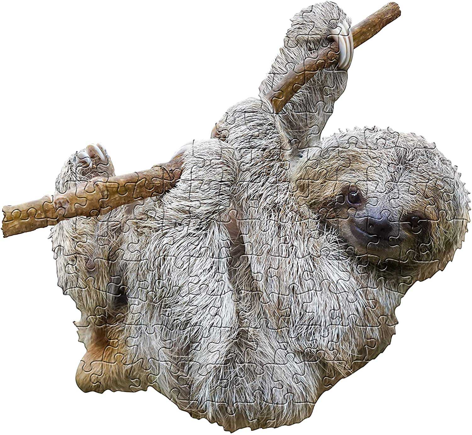 I Am Lil Sloth 100 Pieces Madd Capp Games Puzzles Puzzle Warehouse