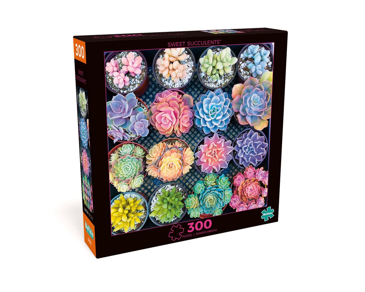 Sweet Succulents 300 Pieces Buffalo Games Puzzle Warehouse