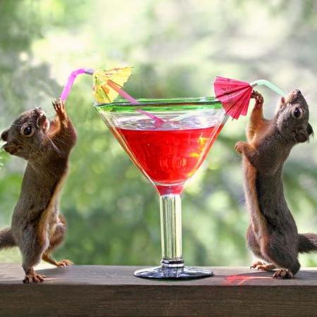 Squirrels at Cocktail Hour by Peggy Collins