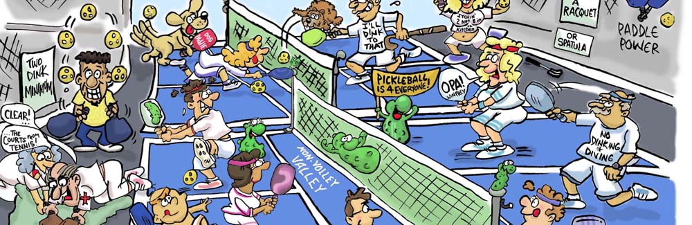 Pickleball Play