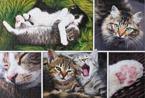 Just Cat Things puzzle