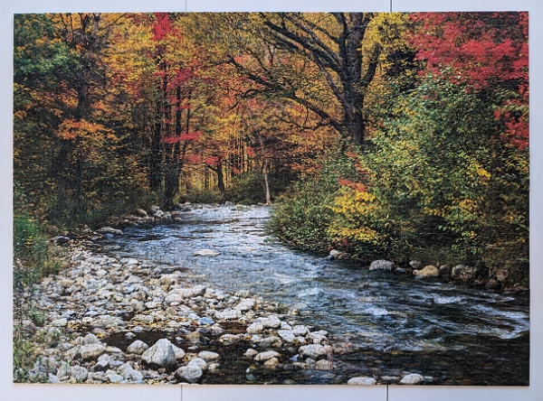Forest Stream puzzle
