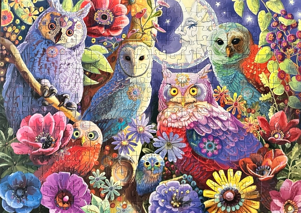 Night Owl Hoot puzzle