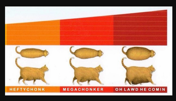 fat cat chart