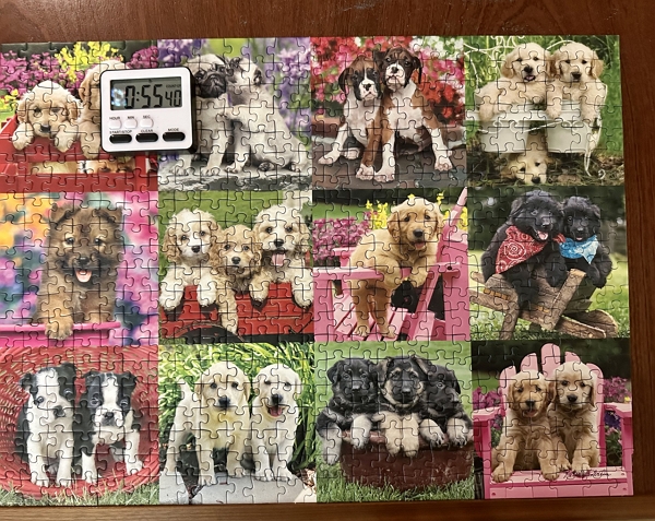 Puppy Pals puzzle