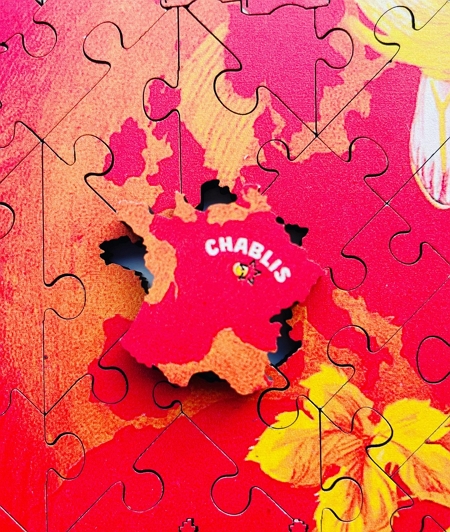 France shaped puzzle piece