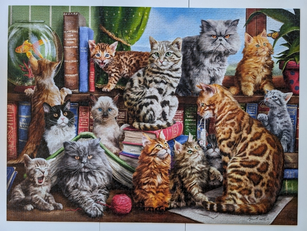 House of Cats puzzle