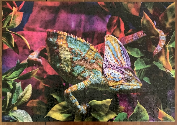 Chameleon puzzle