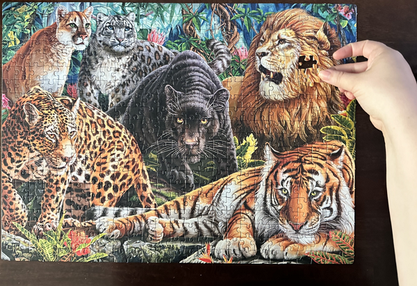 Wild Cats puzzle
