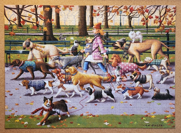 Dog Walker puzzle