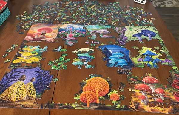Beautiful Mushrooms puzzle in work