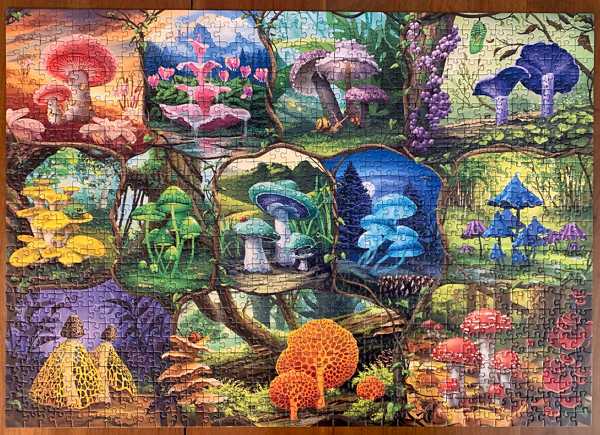 Beautiful Mushrooms puzzle