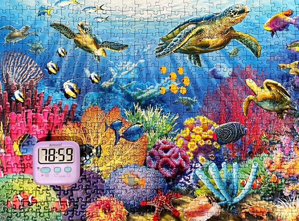 Tropical waters puzzle