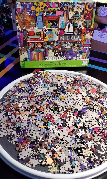 Jigsaw Junkies - How to Complete a 2000 Piece Puzzle