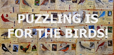 Puzzling is for the Birds