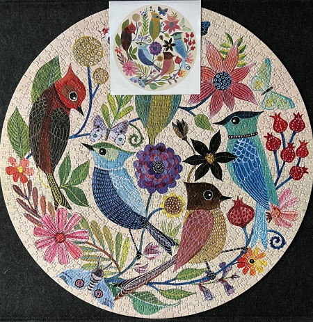 Circle of Avian Friends puzzle