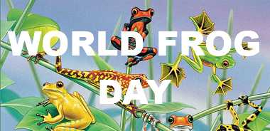 World-Frog-Day