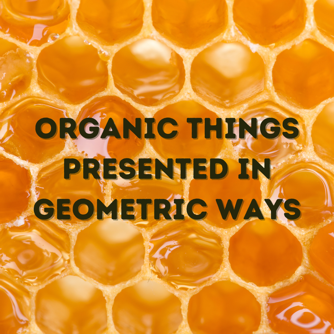 Jigsaw Junkies - Organic Things Presented in Geometric Ways