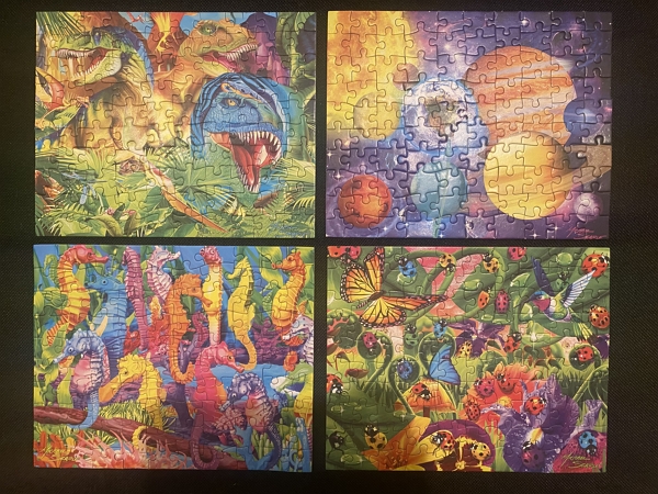 4 pack glow in the dark puzzle