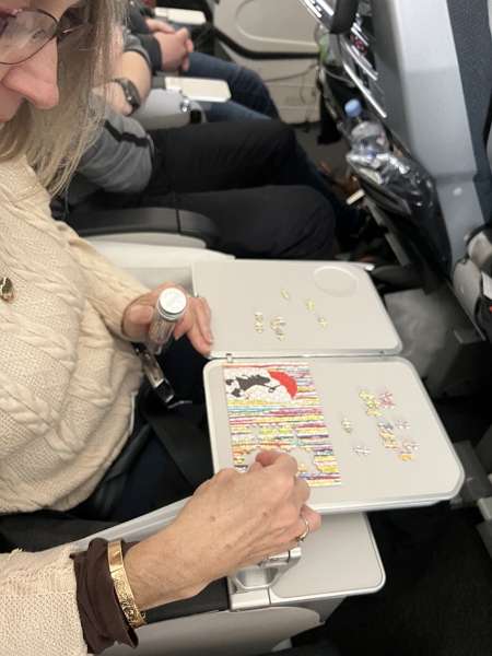 puzzling on the plane