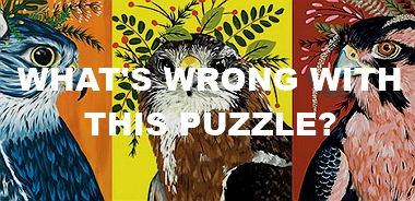 What's Wrong with this Puzzles?