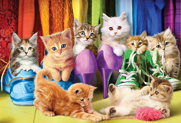 Kitten Pride puzzle
