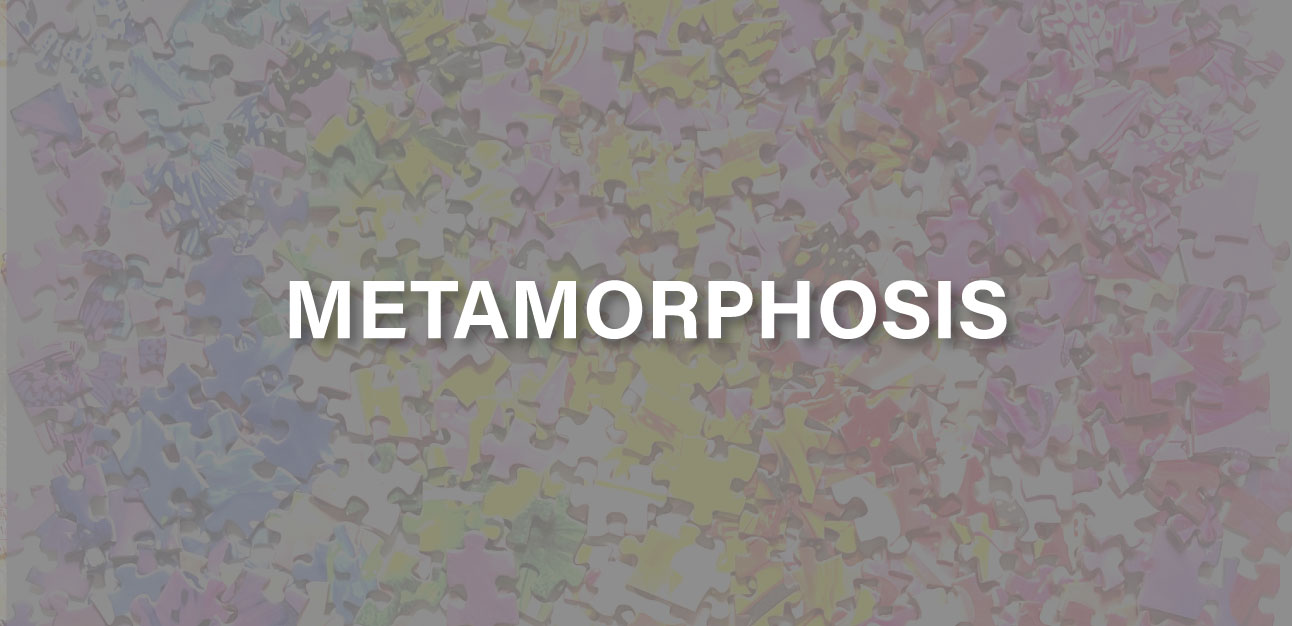Jigsaw Junkies - Metamorphosis – Puzzle Transformation