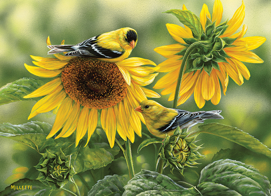 Sunflower Jigsaw Puzzles Puzzlewarehouse Com