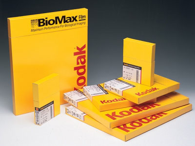 Biomax Film