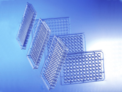 PCR Plates & Blocks