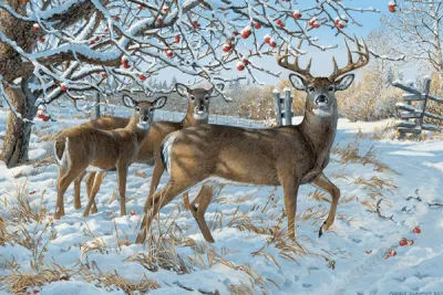Winter Jigsaw Puzzles