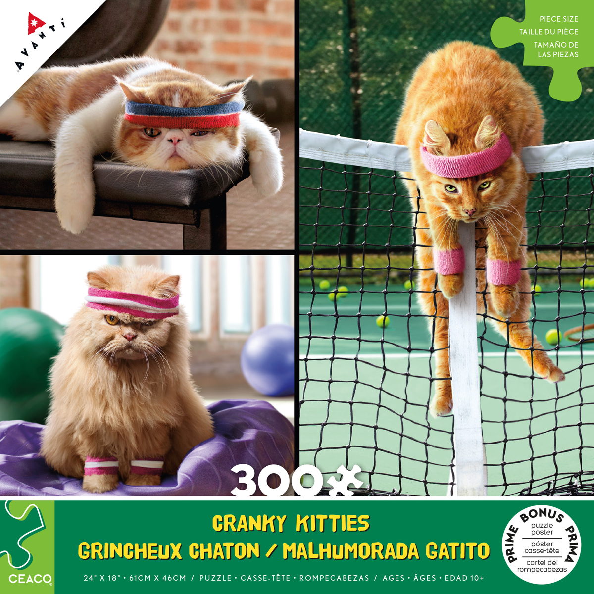 Cranky Kitties - Anyone For Tennis?