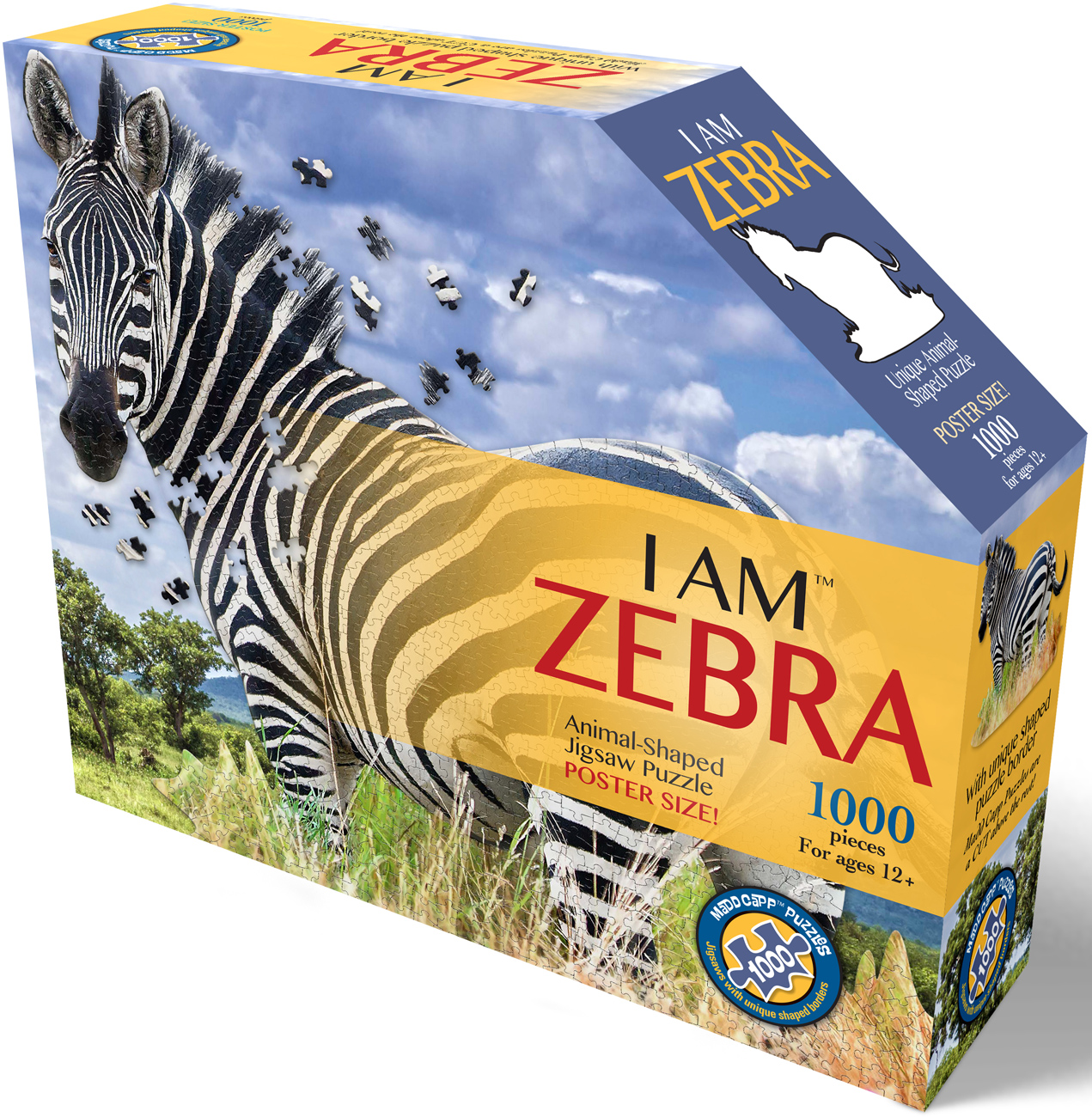 I Am Zebra