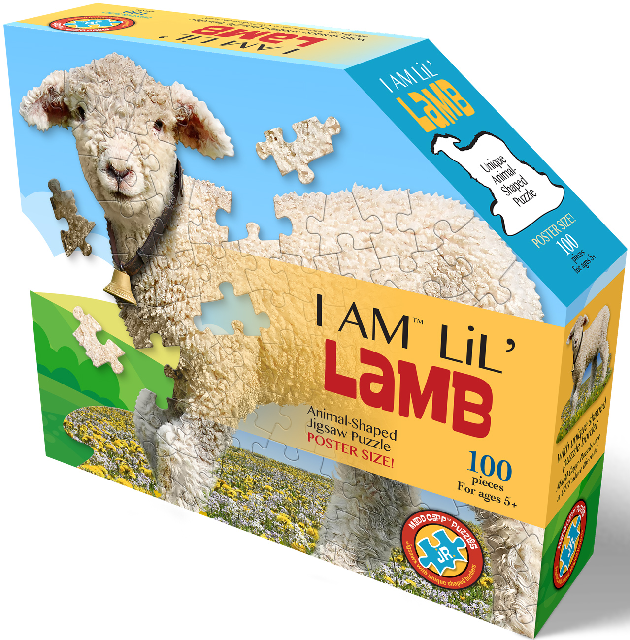 I Am Lil' Lamb