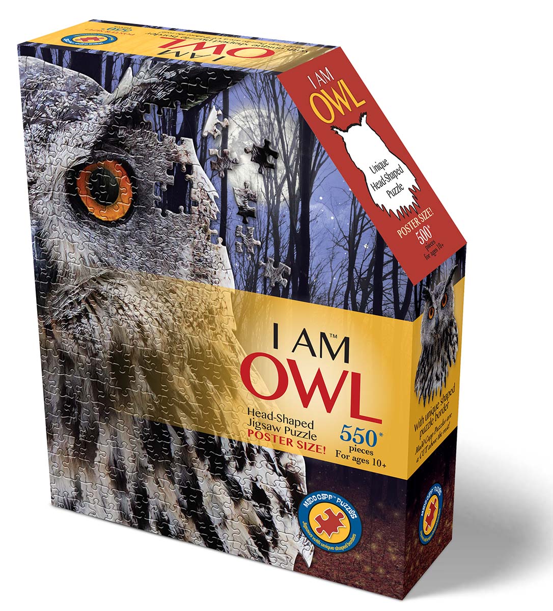 I Am Owl