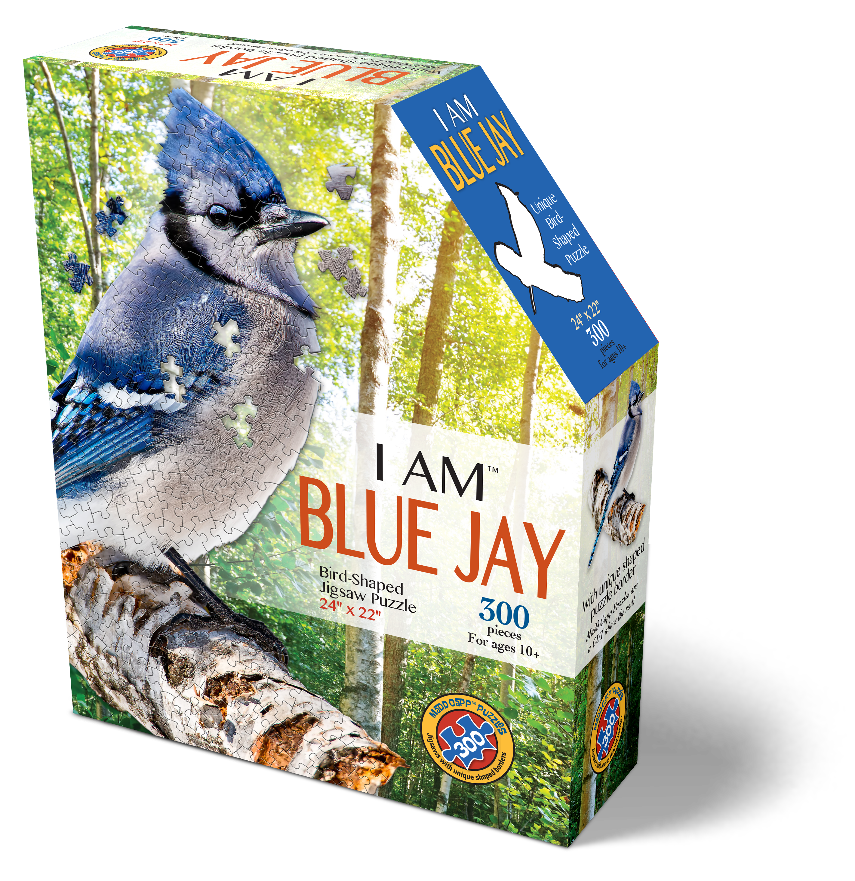 I Am Blue Jay