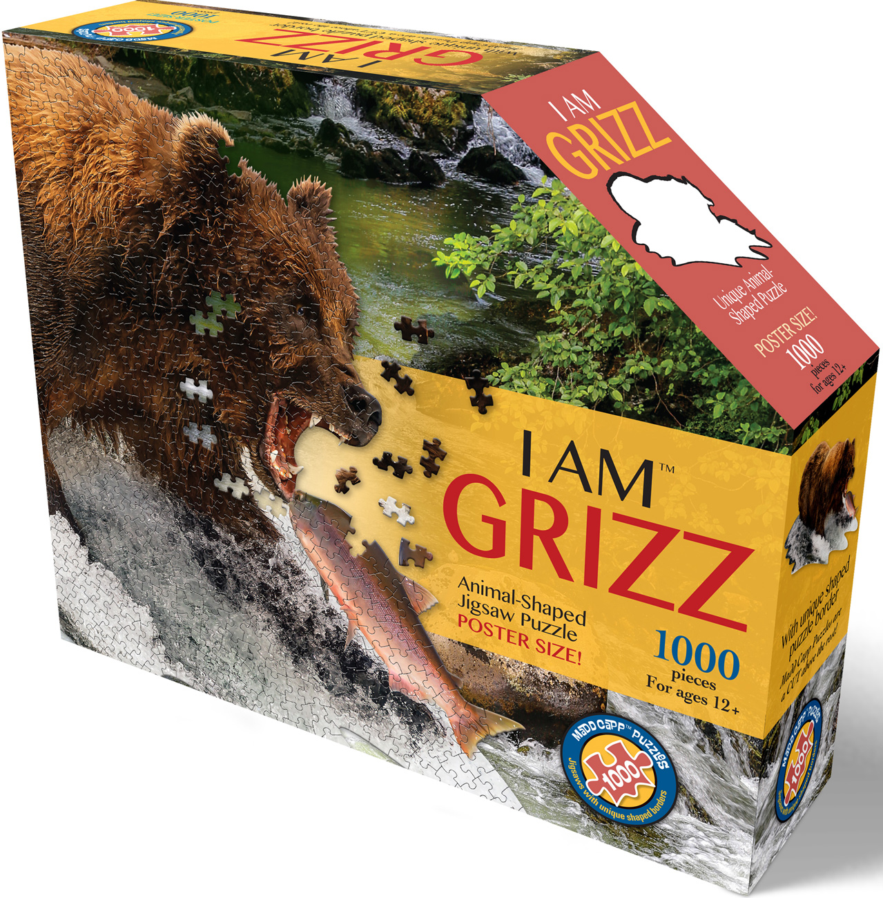 I Am Grizz - Scratch and Dent