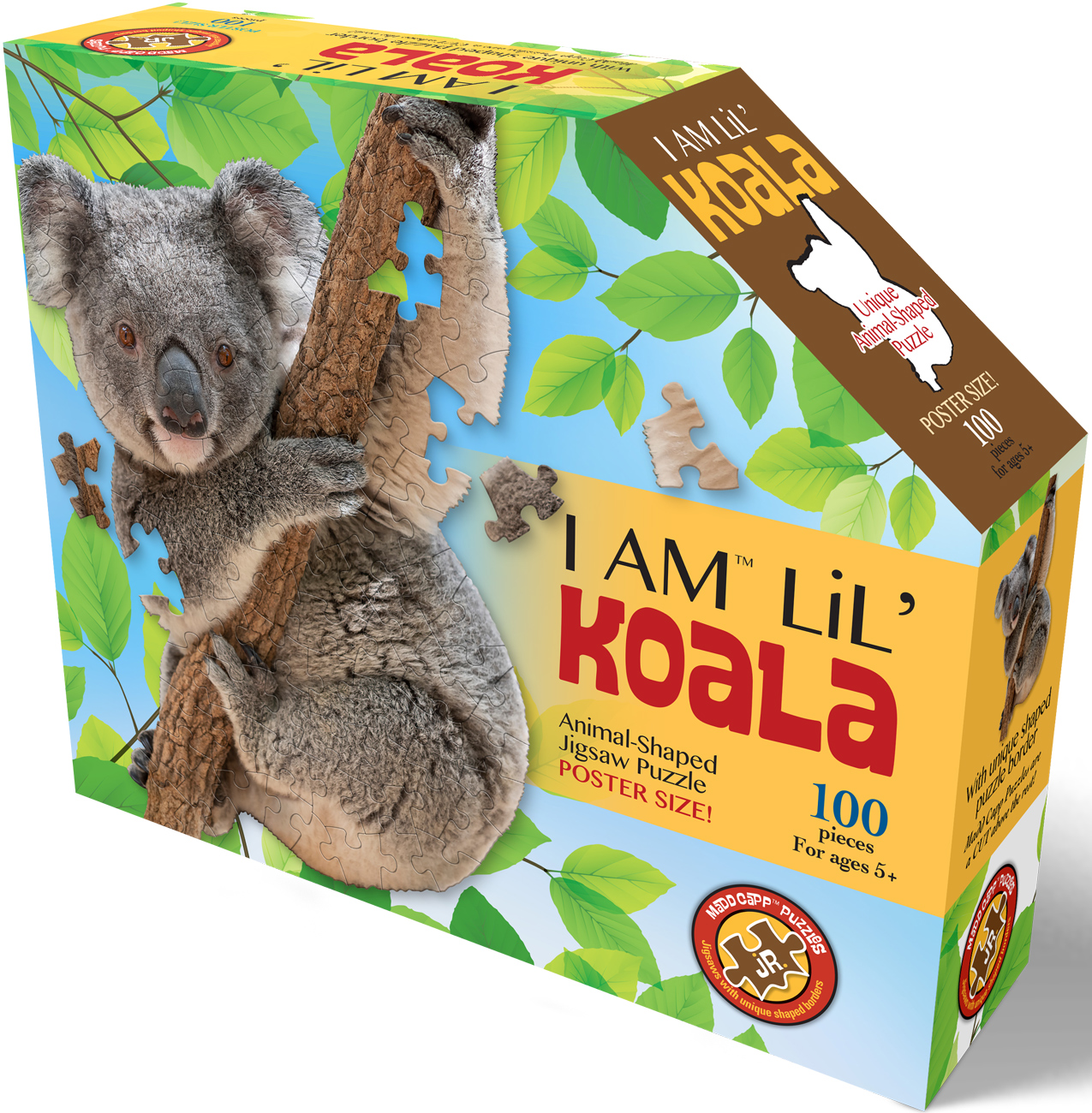I Am Lil' Koala