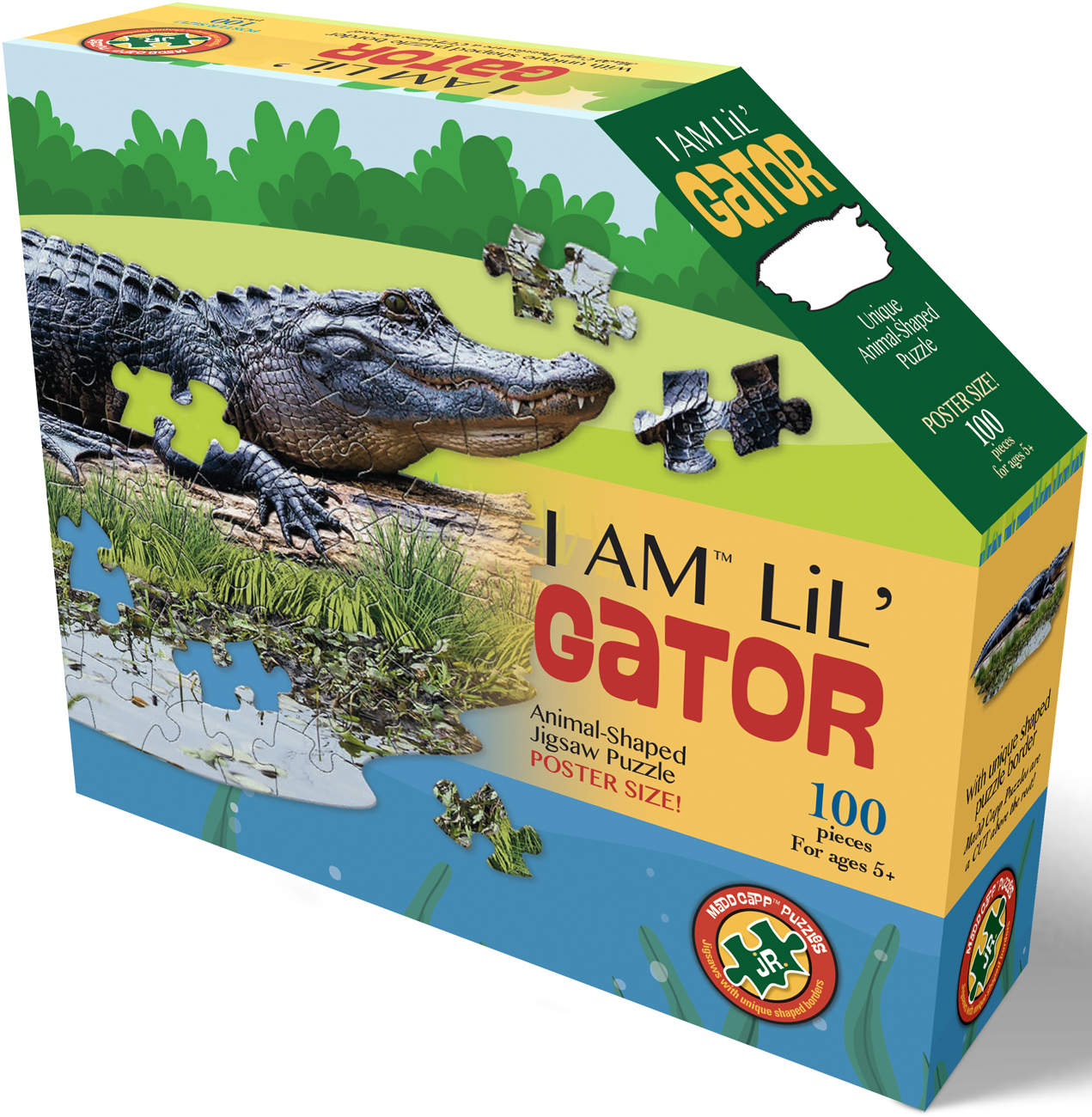 I Am Lil' Gator