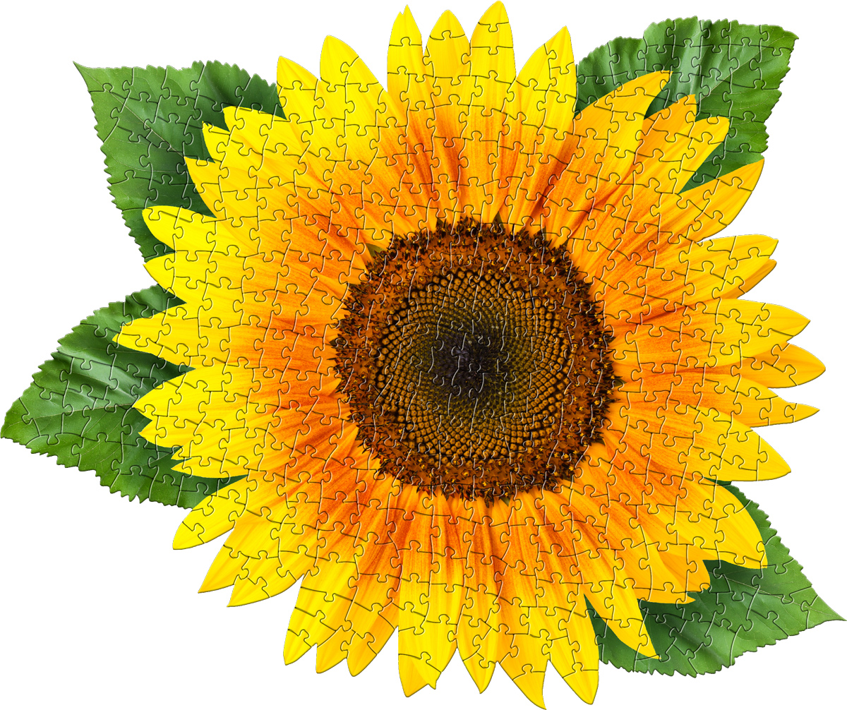 I Am Sunflower