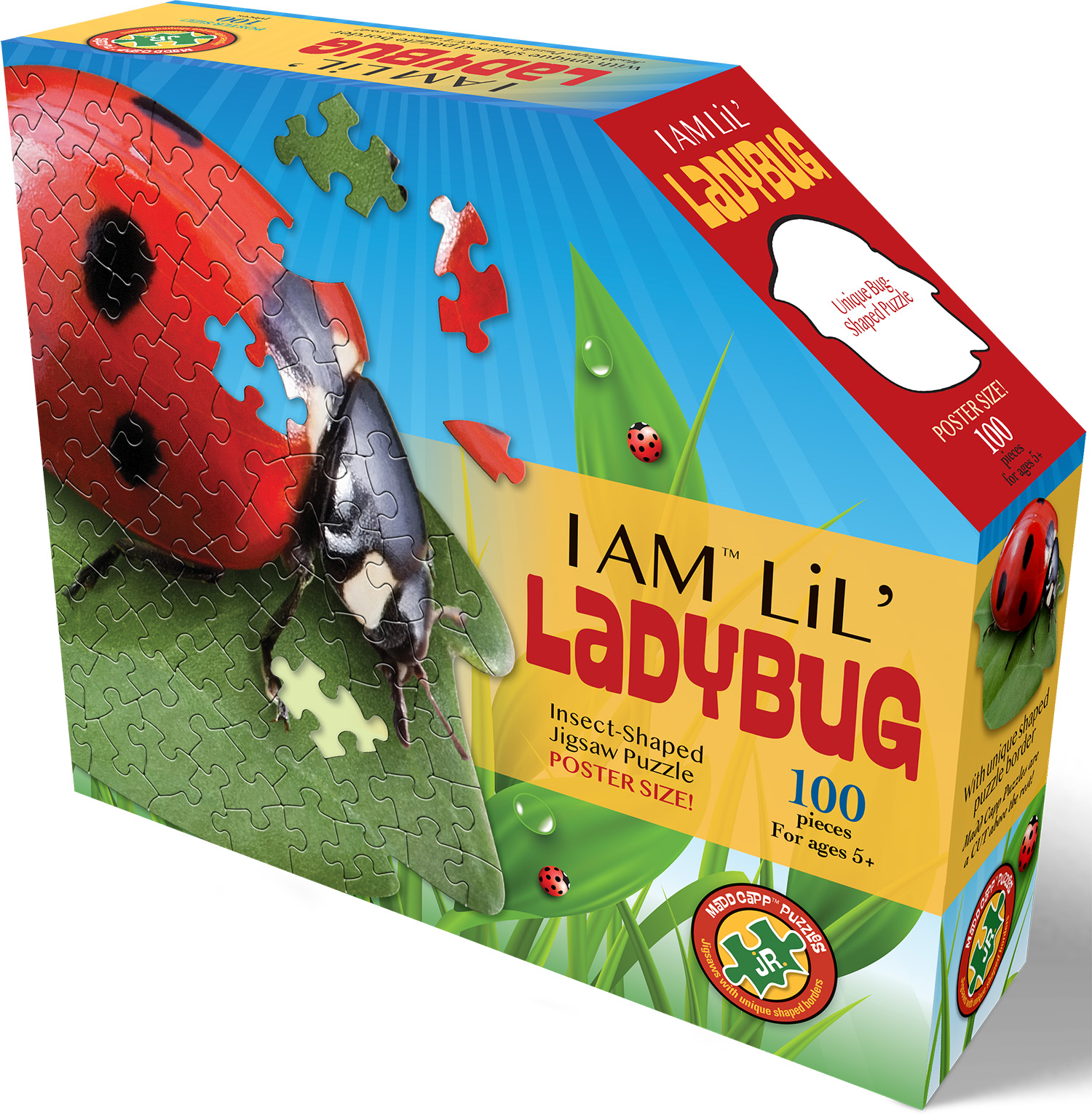 I Am Lil' Lady Bug