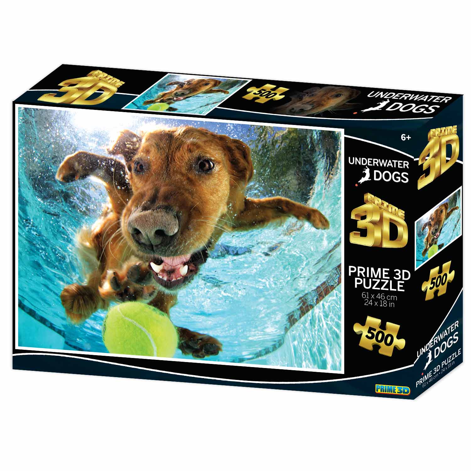 Underwater Dogs Ricochet