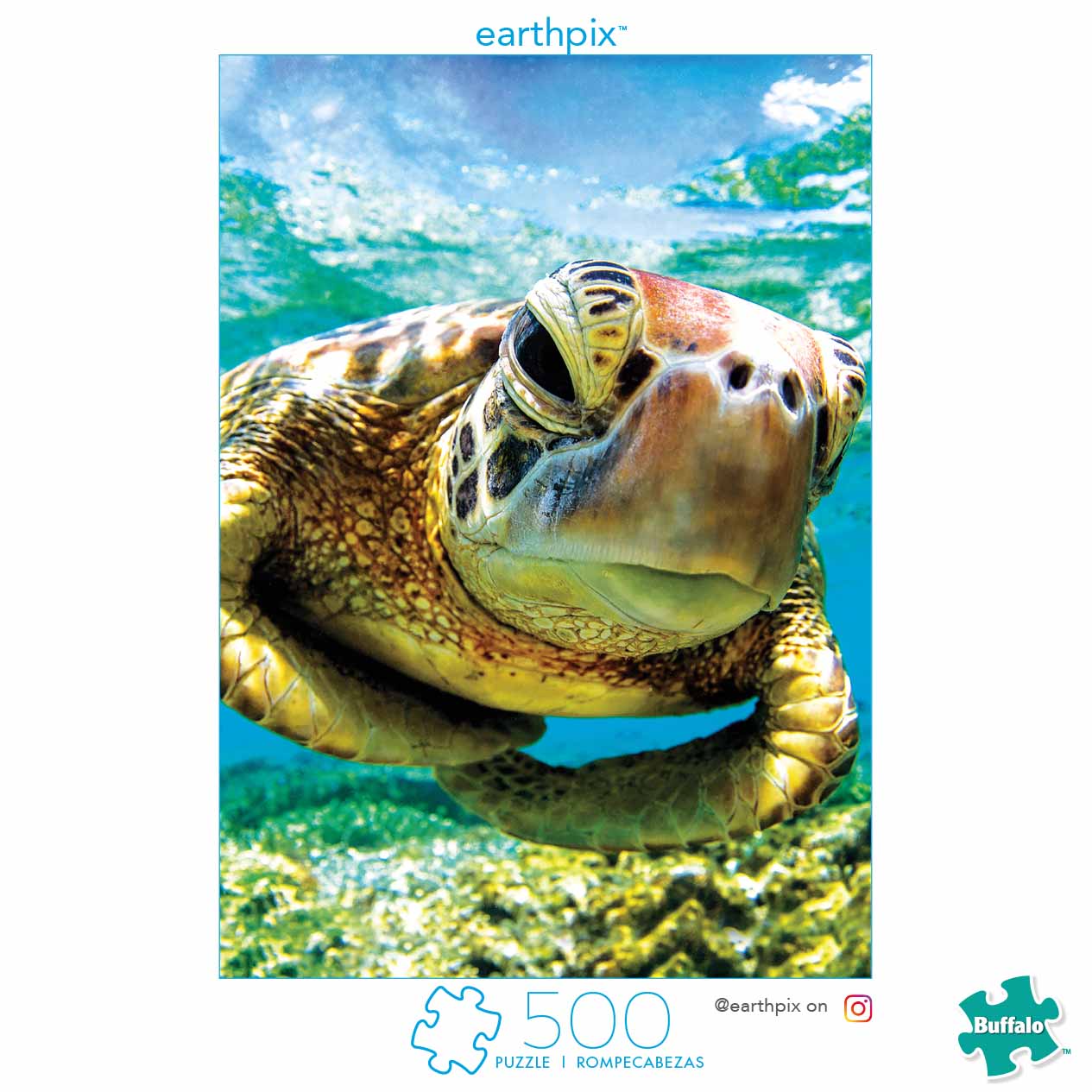 Earthpix - Turtle Swimmer