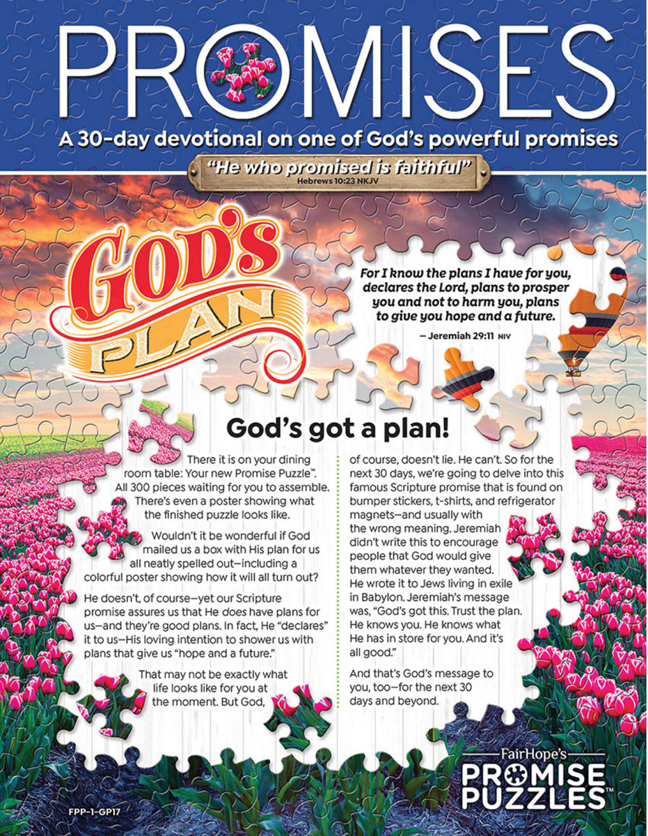 Promise Puzzle - God's Plan - Scratch and Dent