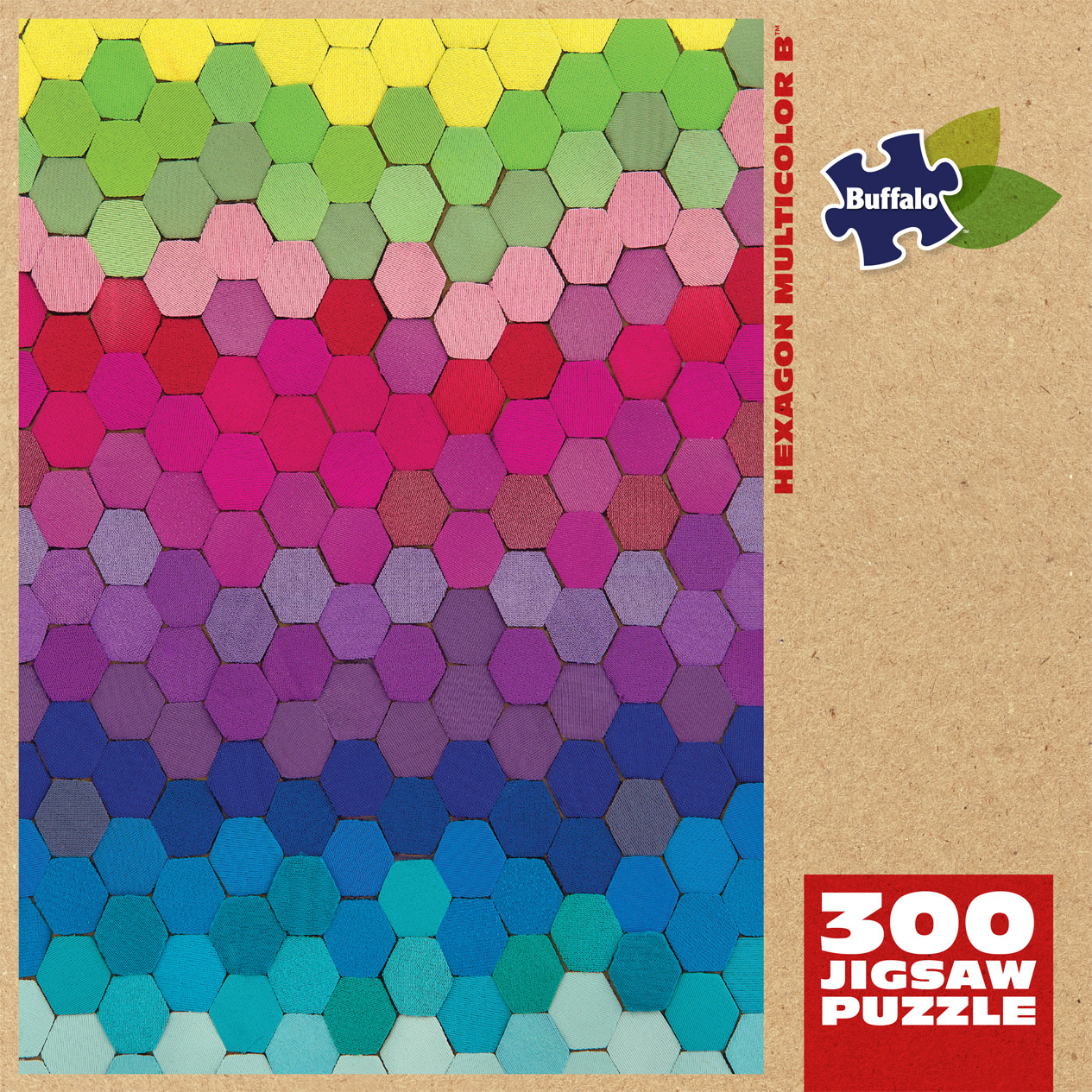 Hexagon Multicolor B