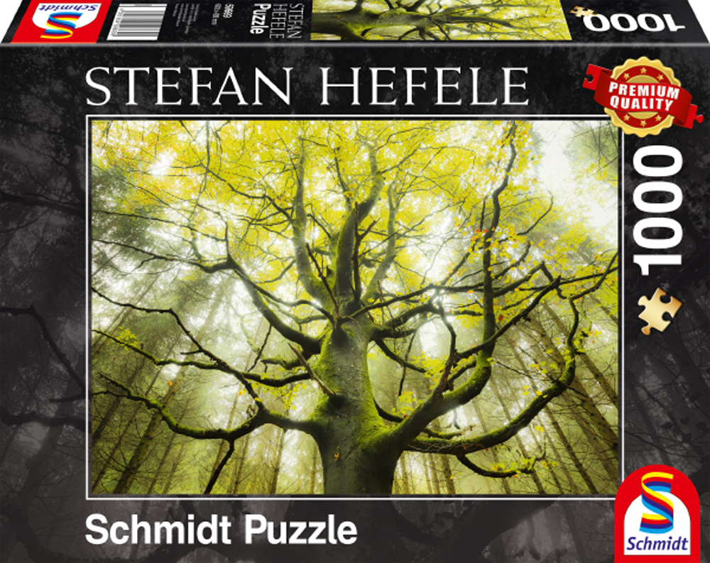 Stefan Hefele: Dream Tree