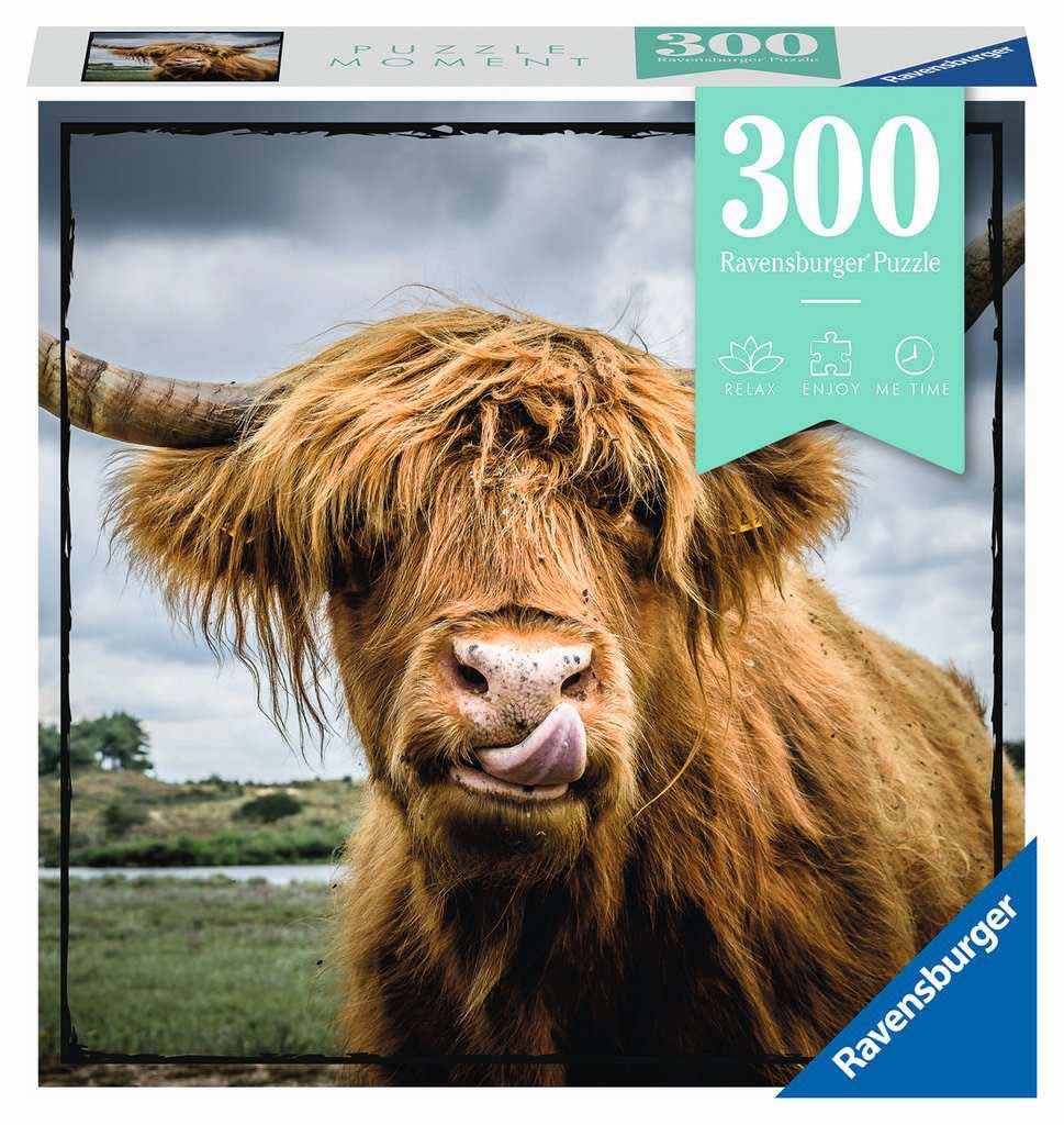 Puzzle Moments: Highland Cattle