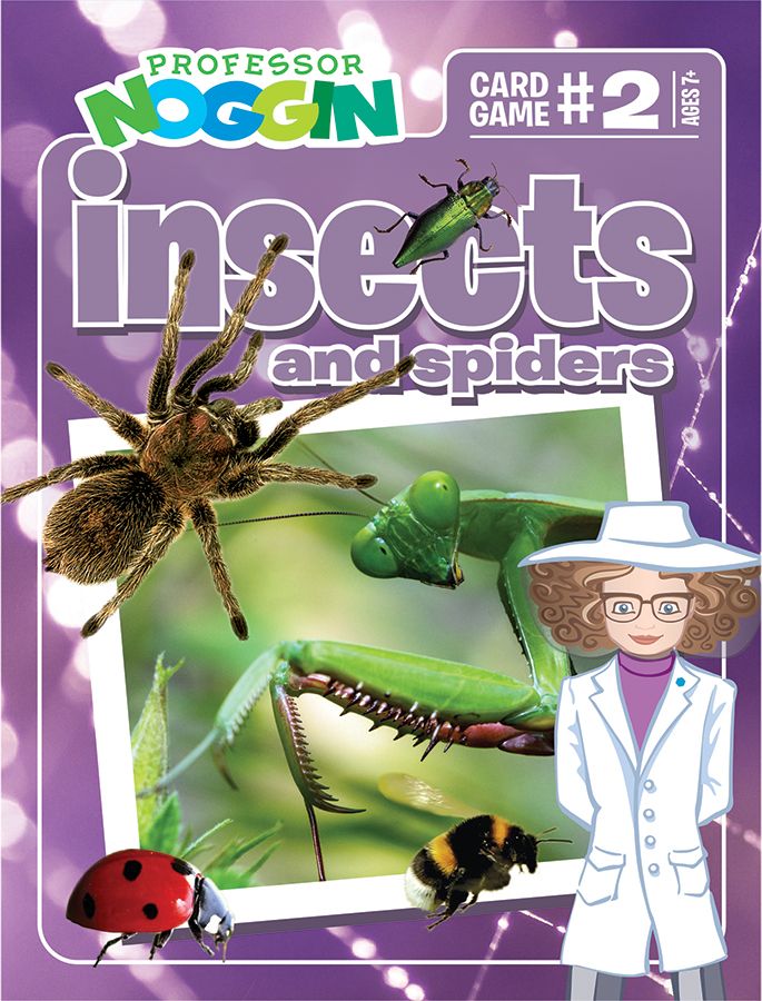 Professor Noggin's Insects & Spiders