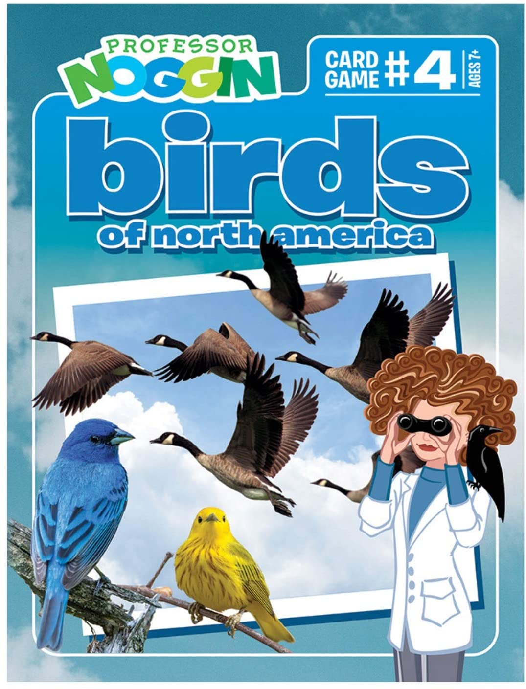 Professor Noggin Birds of North America