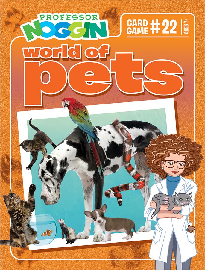 Professor Noggin's World of Pets